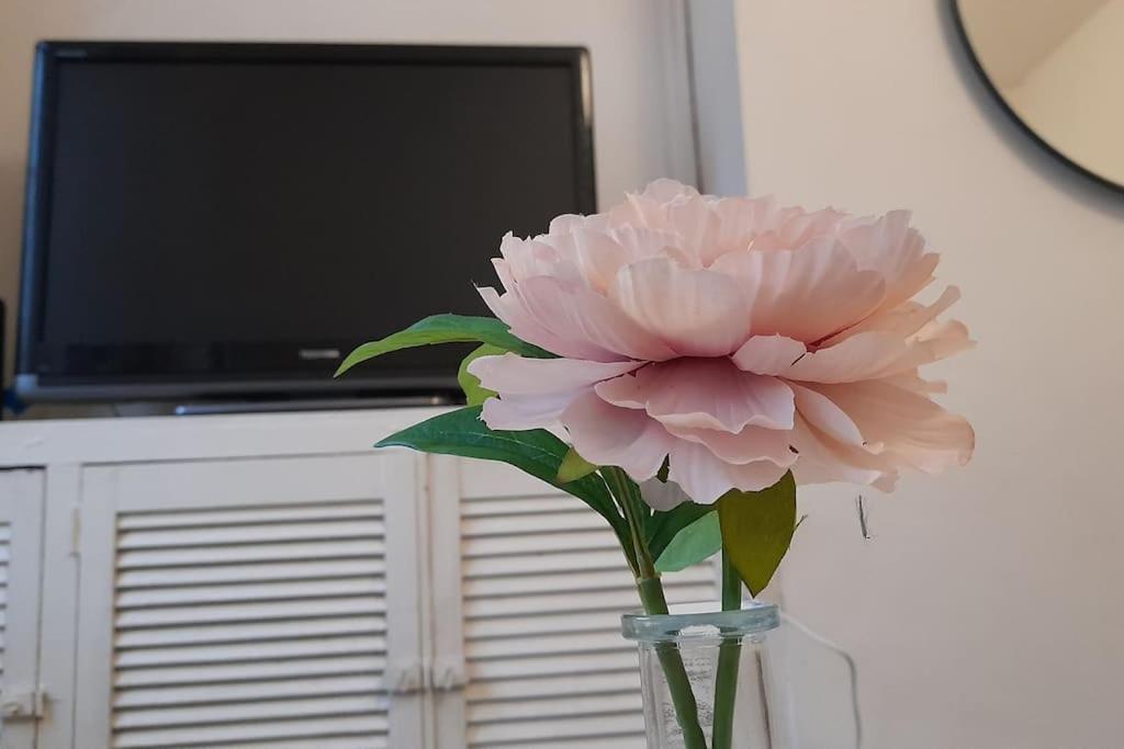 Spacious 4 Bedroom, Free Netflix, Central Location Cardiff Kültér fotó